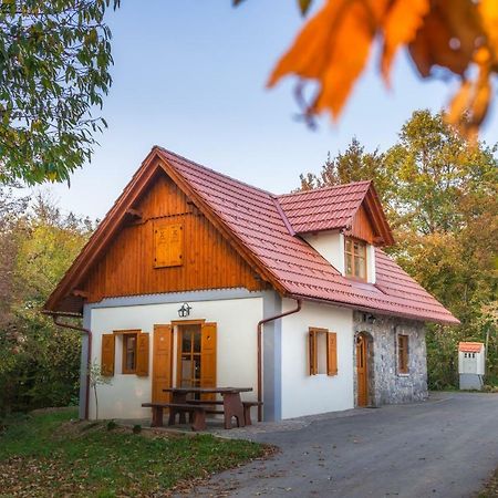 Vineyard Cottage Vina In Medu Trebelno Kültér fotó
